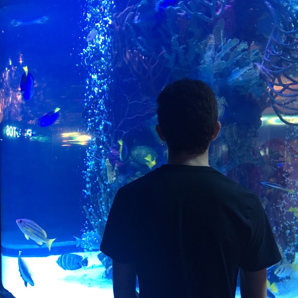 Meet your Posher, Zachary